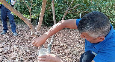 Sakız'dan farklı ürünler üretilmeye başlandı