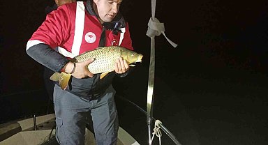 Samsun'da kaçak avcılığa geçit yok: 60 kiloluk sazan geri salındı