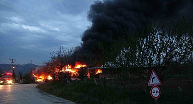 Samsun'da meyve deposunda yangın: Ekipler müdahale ediyor