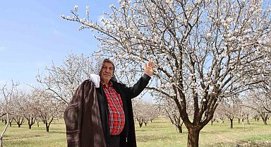 Şanlıurfa badem üretiminde Adıyaman ile yarışıyor