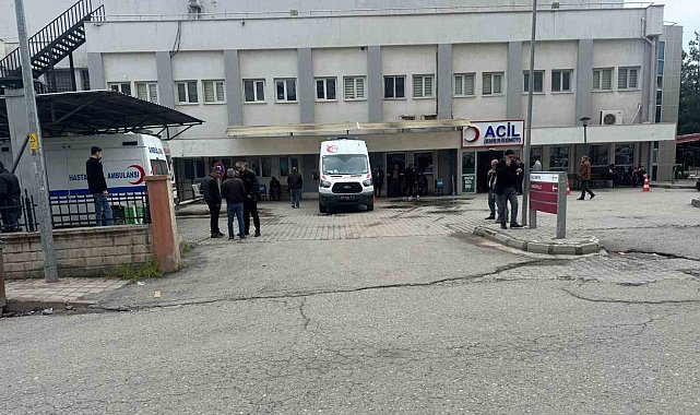 Siirt'te küçük çocuk süs havuzunda boğulma tehlikesi geçirdi