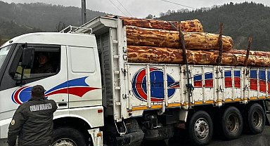 Sinop'ta orman ürünlerine 183 noktada denetim