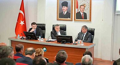 Sinop'ta sokak hayvanları için yol haritası belirlendi