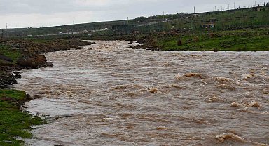 Siverek'te sağanak sonrası derede mahsur kalan çoban ve koyun sürüsü kurtarıldı