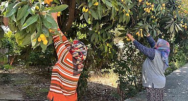 Talep azalınca bedava dağıttı, poşetini alan bahçeye koştu
