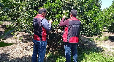 Tarımda biyolojik mücadele seferberliği