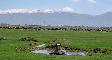 Tarımda önder üretici modeli vurgusu