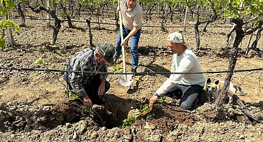 TARİŞ'ten bağlara yakın takip