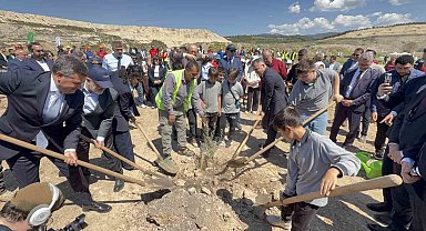 Taşınan her zeytin ağacına karşılık fidan: Milas'ta 4 bin zeytin toprakla buluştu