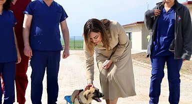 Tekirdağ'da can dostları için 10 bin metrekarelik yaşam alanı