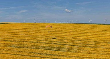 Tekirdağ'da sarı şölen: Paramotorlar sarı tarlaları gezdi