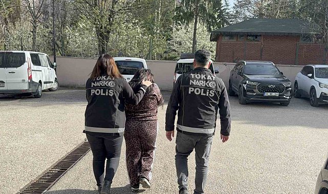 Tokat'ta zehir tacirlerine operasyon: 1 tutuklama