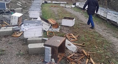 Tunceli'de ayı, 20 kovanı parçaladı