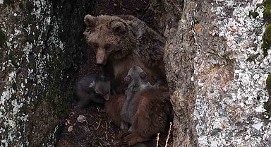 Tunceli'de belgeselleri aratmayan görüntüler