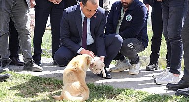 Vali Taşolar, Iğdır Geçici Hayvan Bakımevi'ni ziyaret etti