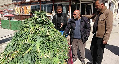 Van'da şifa kaynağı 'çiriş otu' tezgahlardaki yerini aldı