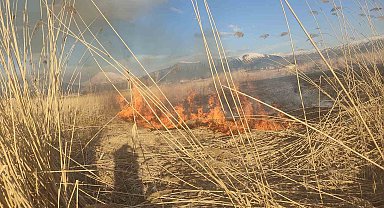 Van'ın Muradiye ilçesinde sazlık yangını