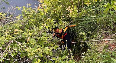 Yayladağı'nda gölete düşen büyükbaş hayvan kurtarıldı