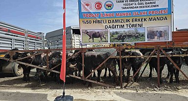 Yozgat'ta 20 manda üreticilere teslim edildi