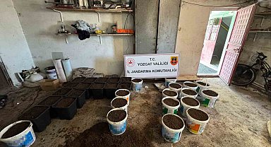 Yozgat'ta uyuşturucu yetiştirme düzeneği ve uyuşturucu madde ele geçirildi