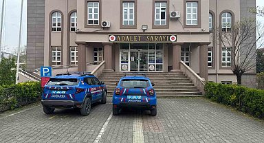 Zonguldak'ta süs bitkisi bahçesinde uyuşturucu özellikli kaktüs ele geçirildi