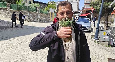 Zuzubak otu, köylüler için önemli bir gelir kapısı