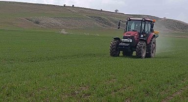 Ahlat'ta buğday tarlalarında gübre mesaisi