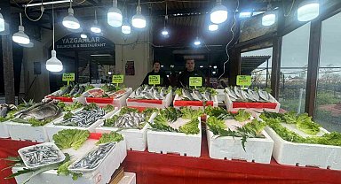 Alaplı balıkçı tezgahlarında çeşit bitti mezgit fiyatı 500 liraya çıktı