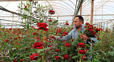 Anneler günü fırsatçıları iş başında: Üreticiden 20 TL'ye çıkan gül annelere 150 -200 TL'ye ulaşıyor