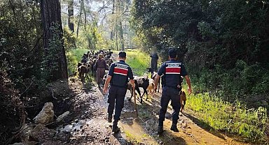 Antalya'da sürüden ayrılıp kaybolan 41 keçi jandarma tarafından bulundu