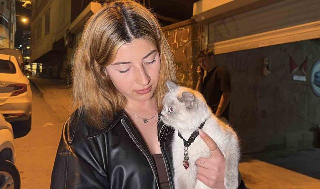 Arnavutköy'de cins kediyi çaldılar
