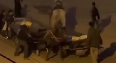 Atlara işkence kamerada