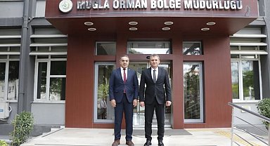 Aydın'da kestane ağaçları biyolojik mücadele ile korunuyor