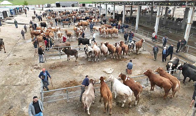 Bayrama sayılı günler kala Sorgun canlı hayvan pazarında hareketlilik yaşandı
