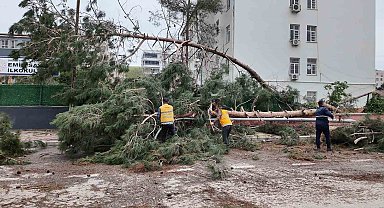 Birecik'te afetin yaraları sarılıyor