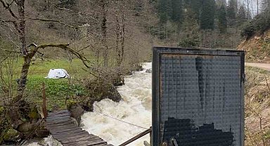 Böylesi ancak Karadeniz'de olur