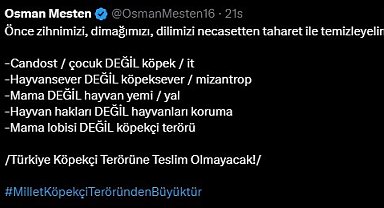 Bursa Milletvekili Mesten'e hem destek hem tehdit
