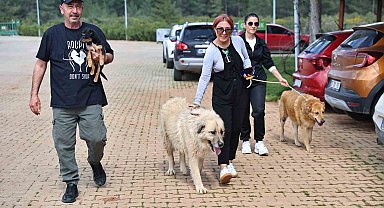 Büyükşehir Bakımevi'nde can dostlar sıcak yuvalarına kavuşuyor