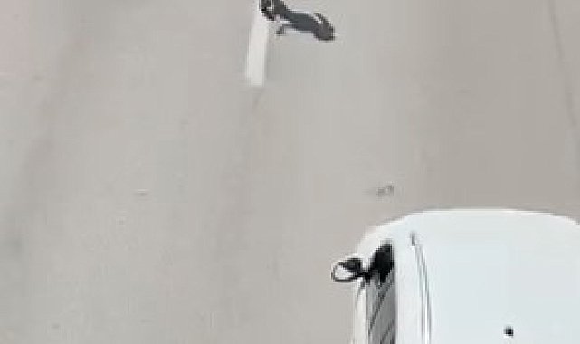 Canını hiçe sayarak akan trafikte böyle yürüdü