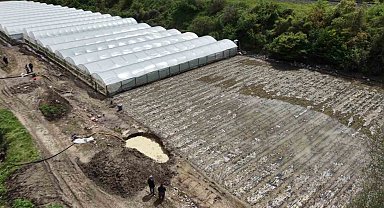 Çiftçinin taşkın nöbeti: Arazisindeki bitkiler Yeşilırmak'tan sızan suyun altında kaldı