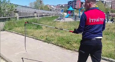 Dernek binasına giren yılanı itfaiye yakalayıp doğaya saldı
