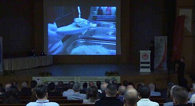 Edirne'de çeltiğin geleceği masaya yatırılıyor