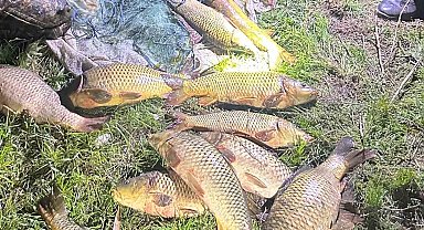 Eğirdir Gölü'nde kaçak avcılara suçüstü: 100 kilo sazan yeniden göle bırakıldı