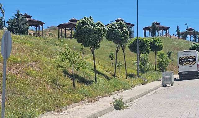 Elazığ'da şiddetli rüzgar etkili oldu