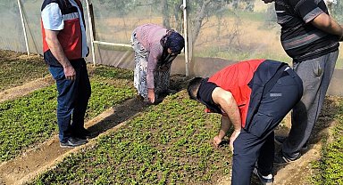Emet'te seralarda inceleme ve bilgilendirme faaliyetleri