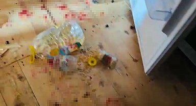 Gümüşhanelilerin ayılarla imtihanı devam ediyor