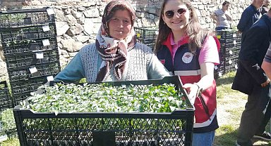 Hanönü'de çiftçilere 30 bin fide dağıtıldı