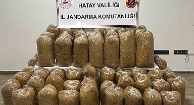 Hatay'da Jandarma'dan geniş çaplı asayiş operasyonu