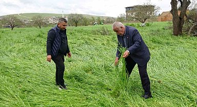 Hububatı 'süper hücre' vurdu