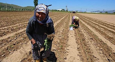 İşçi Bayramı'nın öteki yüzü